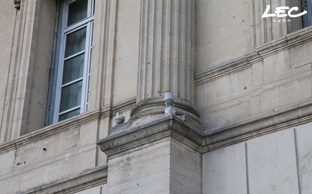 <p>24 projecteurs 4040-Luminy 4 en blanc neutre, optique 6° habillés de la casquette Luminy, sont fixés au pied des 12 colonnes du palais.</p>
