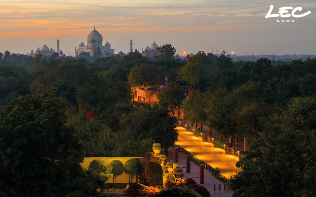 Un chemin de lumière vers le Taj Mahal